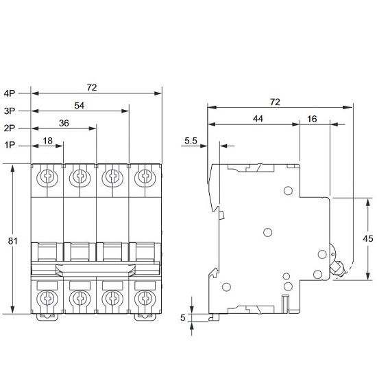 �������. �����